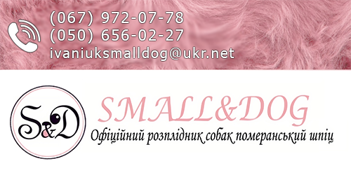 Small Dog, розплідник Смол Дог, Померанський Шпіц, Померанский Шпиц питомник